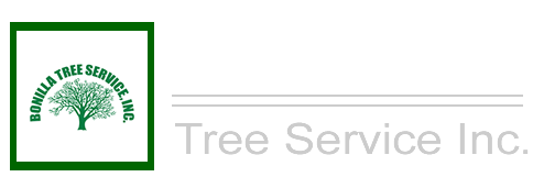 Alexandria Virginia Tree Project